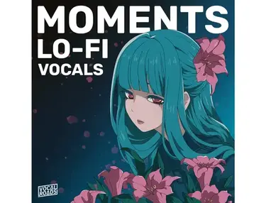 Vocal Roads Moments - Lo-Fi Vocals