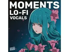 Vocal Roads Moments - Lo-Fi Vocals main image
