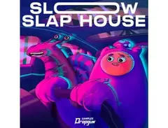 Dropgun Samples Slow Slap House main image