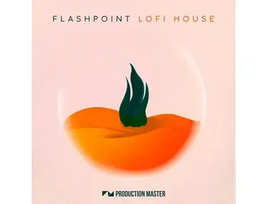 Production Master Flashpoint - LoFi House