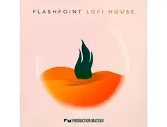 Production Master Flashpoint - LoFi House main image