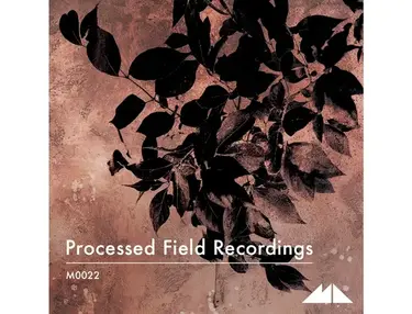 ModeAudio Processed Field Recordings