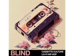 Blind Audio Cassette Culture - Lo-Fi Hip Hop main image
