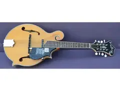 Epiphone MM-50E Professional Grade "F" Style Acoustic/Electric Mandolin - Satin Natural