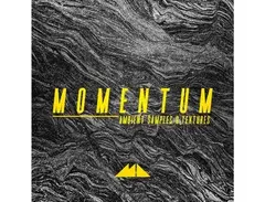 ModeAudio Momentum - Ambient Samples & Textures main image
