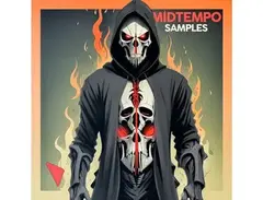 DABRO Music Midtempo Samples I main image
