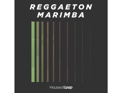 House Of Loop Reggaeton Marimba main image