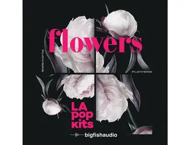 Big Fish Audio Flowers: LA Pop Kits