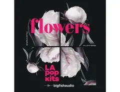 Big Fish Audio Flowers: LA Pop Kits main image
