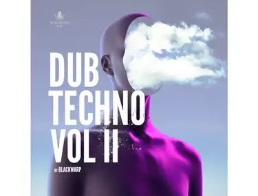 Black Octopus Dub Techno Vol. 2