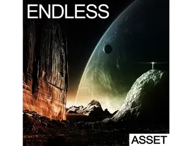 Industrial Strength Endless - ASSET
