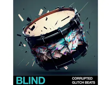 Blind Audio Corrupted Glitch Beats