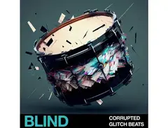Blind Audio Corrupted Glitch Beats main image