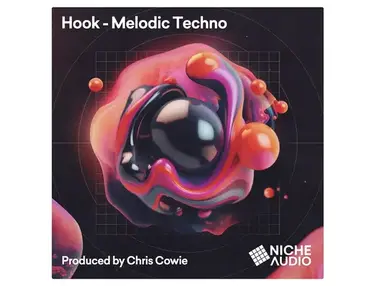 Niche Audio Hook - Melodic Techno