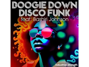 Industrial Strength Boogie Down Disco Funk feat. Bashiri Johnson