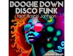 Industrial Strength Boogie Down Disco Funk feat. Bashiri Johnson main image