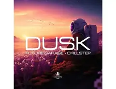 Black Octopus Dusk - Future Garage & Chillstep main image