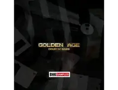Industrial Strength BHK Samples - Golden Age Drum ânâ Bass main image