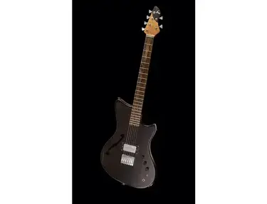 Alpher Instruments Custom Guitar