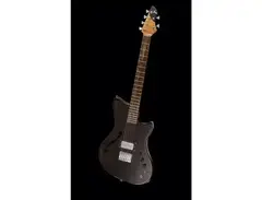 Alpher Instruments Custom Guitar main image