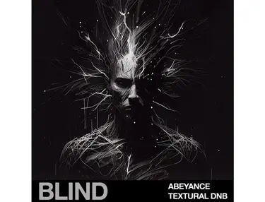 Blind Audio Abeyance - Textural DnB