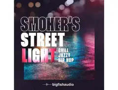 Big Fish Audio Smokerâs Streetlight: Chill Jazzy Hip Hop main image