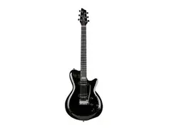 Godin Signature Series Custom LGXT