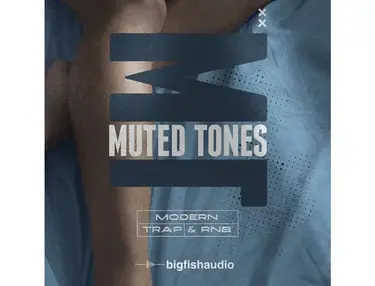 Muted Tones: Modern Trap & RnB