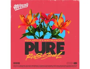 91Vocals Pure RnB Soul: Nosa Apollo x Mike Brainchild