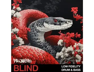Blind Audio Low Fidelity Drum & Bass