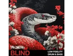 Blind Audio Low Fidelity Drum & Bass main image