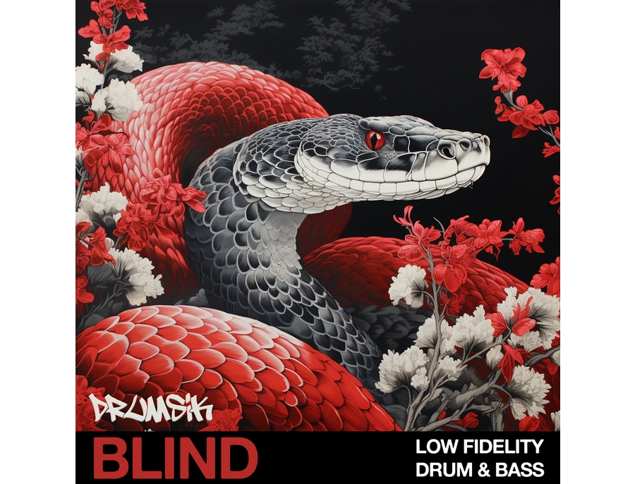 Low Fidelity Rapper Blind Audio Low Fidelity Drum & Bass - What To Know & Where To Buy ...