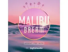 Big Fish Audio Malibu Dream: Upbeat Pop Kits main image