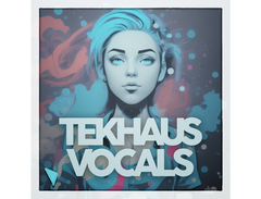 DABRO Music Tekhaus Vocals main image