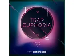 Big Fish Audio Trap Euphoria main image