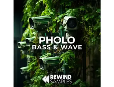 Rewind Samples Pholo: Bass & Wave