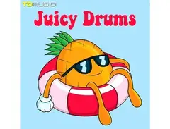 Industrial Strength TD Audio - Juicy Drums main image