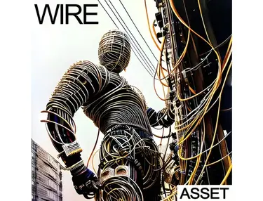 Industrial Strength Wire - ASSET
