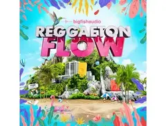 Big Fish Audio Reggaeton Flow main image