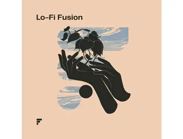 Form Audioworks Lo-Fi Fusion