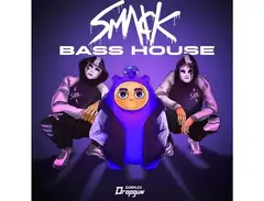 Dropgun Samples SMACK Bass House main image