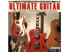 Renegade Audio Ultimate Guitar Collection main image