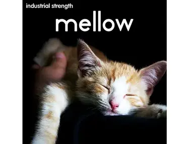 Industrial Strength Mellow