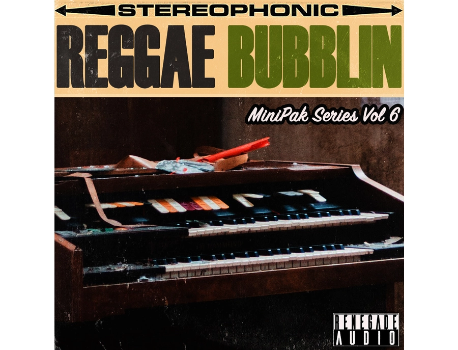 Renegade Audio MiniPak Series Vol. 6 - Reggae Bubblin - What To
