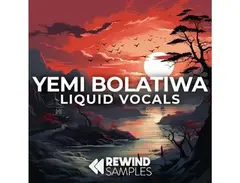 Rewind Samples Yemi Bolatiwa: Liquid Vocals main image