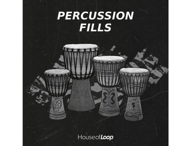 House Of Loop Percussion Fills