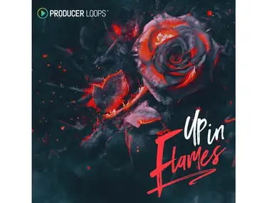 Producer Loops Up In Flames