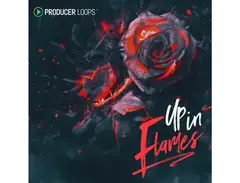 Producer Loops Up In Flames main image