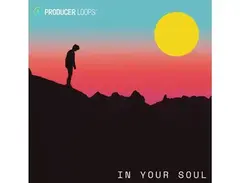 Producer Loops In Your Soul main image