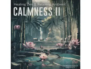 Famous Audio Calmness Vol. 2